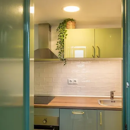 Cactus. Apartmán Denia