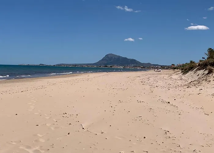 Cactus. * Dénia