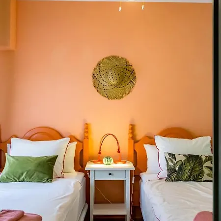 Cactus. Apartament Denia